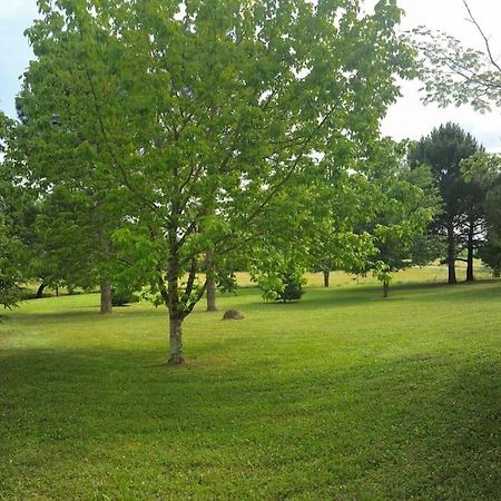 Une Pause Nature Chez Marion Et Cedric Montignac-Toupinerie Exterior foto