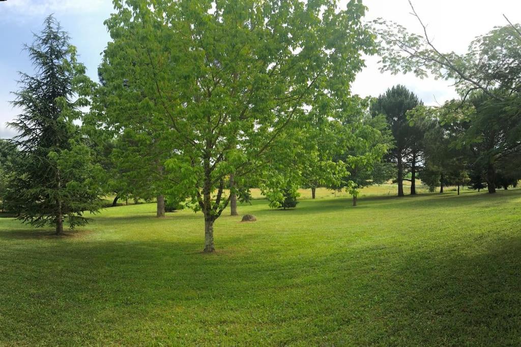 Une Pause Nature Chez Marion Et Cedric Montignac-Toupinerie Exterior foto